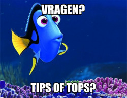 Dory from Nemo  (5 second memory)