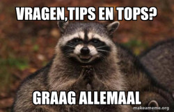 Evil Plotting Raccoon