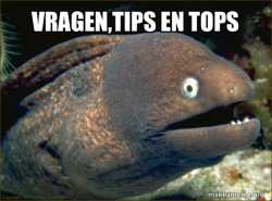 Bad Joke Eel