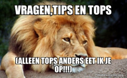 Confession Lion