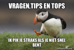 Unpopular Opinion Puffin