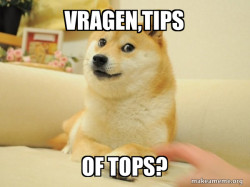 Doge