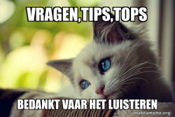First World Cat Problems