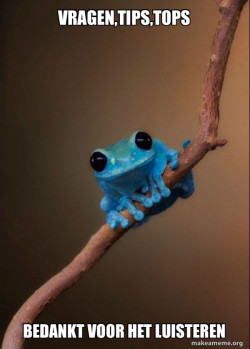 Small Fact Frog