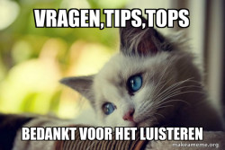 First World Cat Problems
