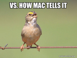 Common Opinion Sparrow