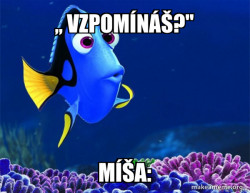 Dory from Nemo  (5 second memory)
