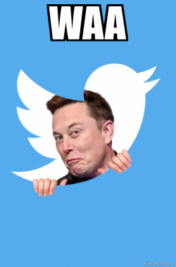 Elon Musk Twitter