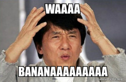Jackie Chan Why?