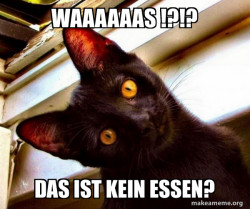 Overly Attached Cat