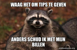 Evil Plotting Raccoon