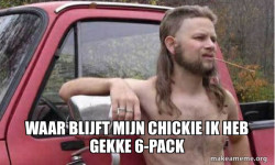 Almost Politically Correct Redneck