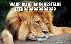 Confession Lion