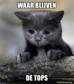 Confession Cat