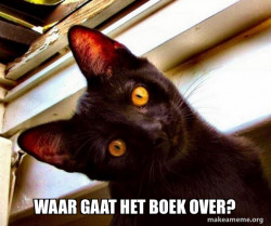 Overly Attached Cat