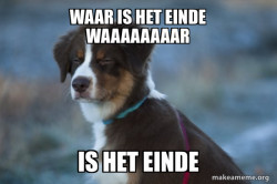 Unsure Dog