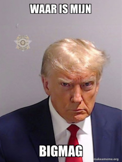 Donald Trump Mugshot