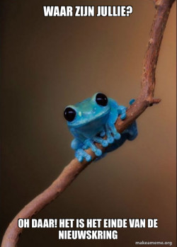 Small Fact Frog