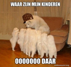 Scumbag Storytelling Dog