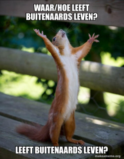 Happy Squirrel