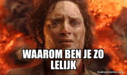 Frodo it's over it's done