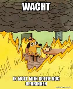 This Is Fine