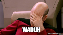 Picard Facepalm