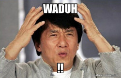 Jackie Chan Why?