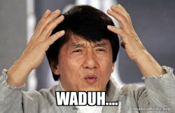 Jackie Chan Why?