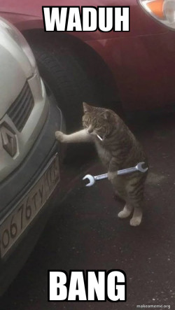Mechanic Cat