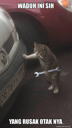 Mechanic Cat