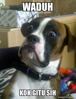 Anjing Meme