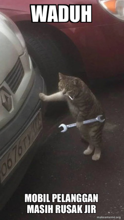 Mechanic Cat