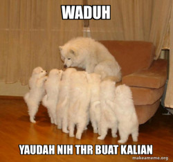 Storytelling Dog