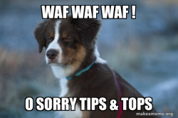 Unsure Dog