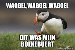 Unpopular Opinion Puffin