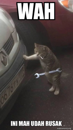 Mechanic Cat