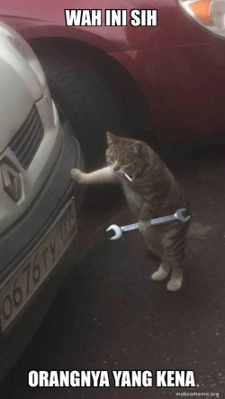 Mechanic Cat