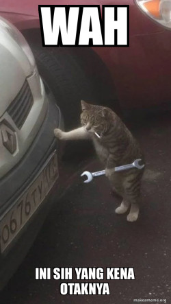 Mechanic Cat