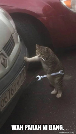 Mechanic Cat