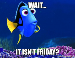 Dory from Nemo  (5 second memory)