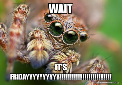 Hipster Spider
