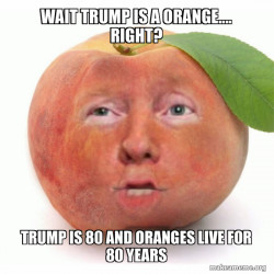 Impeached Donald Trump