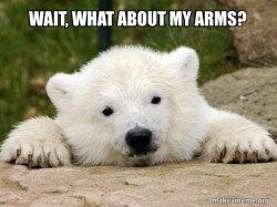 Popular Opinion Bear