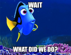 Dory from Nemo  (5 second memory)