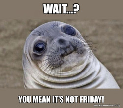 Squeamish Seal