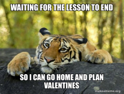Confession Tiger