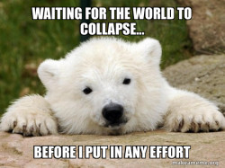 Popular Opinion Bear