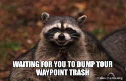 Evil Plotting Raccoon