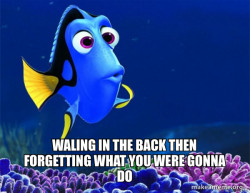 Dory from Nemo  (5 second memory)